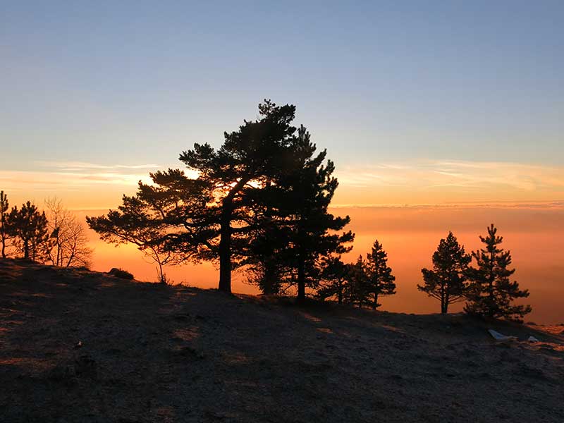 Hohe Wand